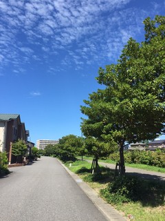 IMG_5244.JPG