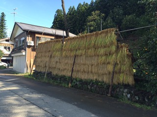 IMG_5360.JPG