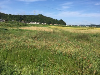IMG_5364.JPG