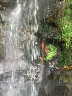 IMG_5381.JPG