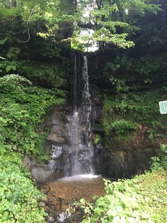 IMG_5382.JPG