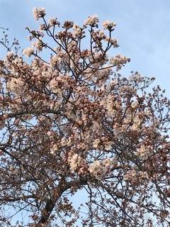 IMG_7614.JPG