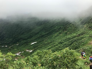 IMG_9394.JPG