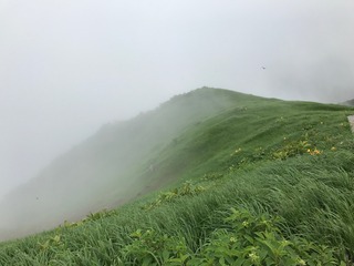 IMG_9411.JPG