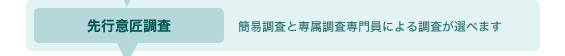 先行意匠調査 簡易調査と専属調査専門員による調査が選べます